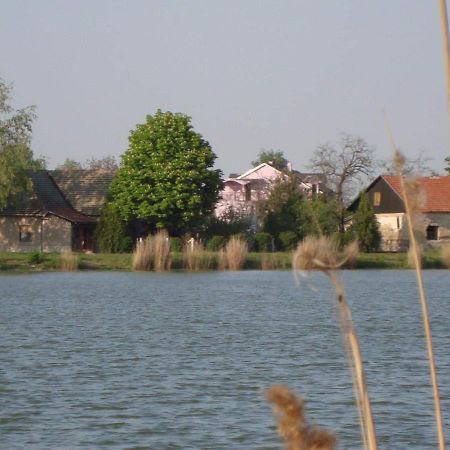 Vila Madams - Palic-Serbia Exteriér fotografie