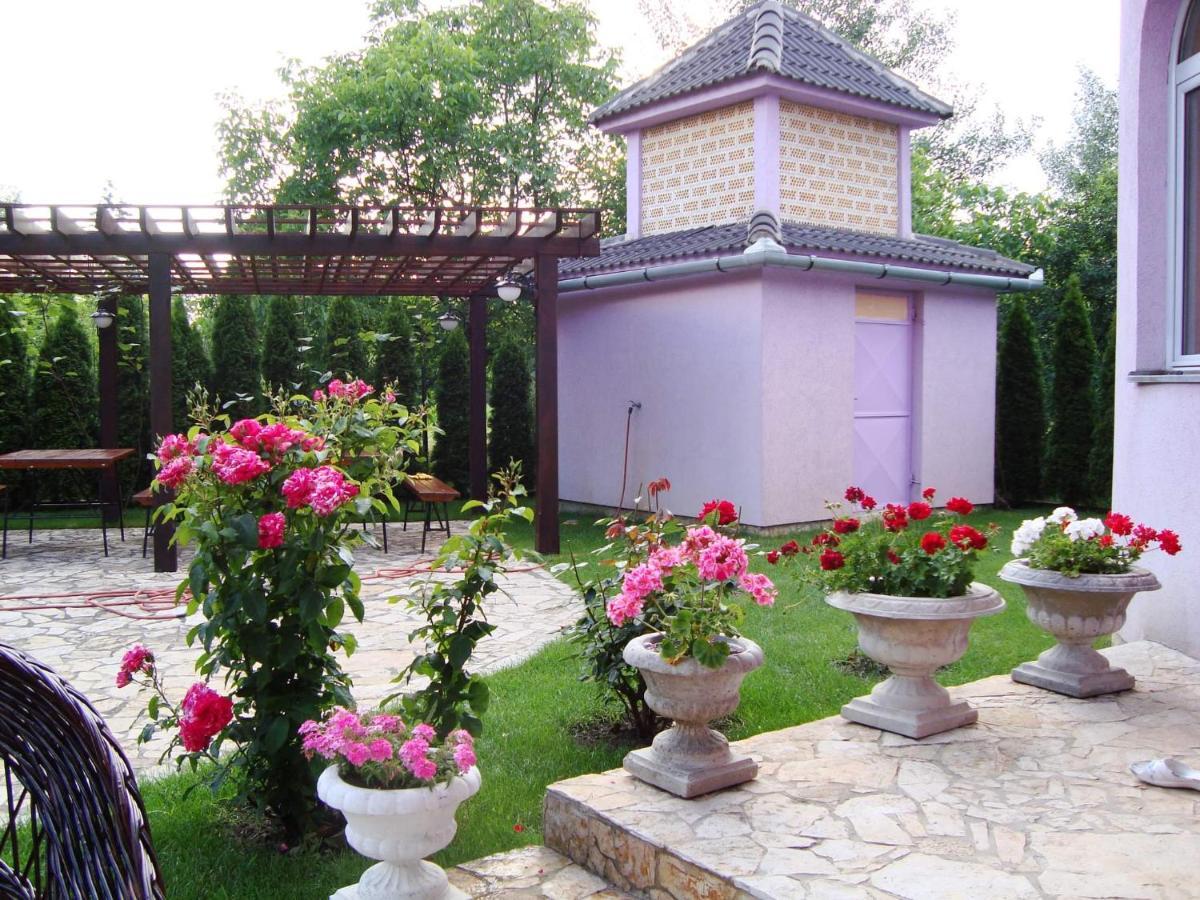 Vila Madams - Palic-Serbia Exteriér fotografie