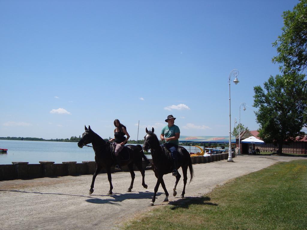 Vila Madams - Palic-Serbia Exteriér fotografie