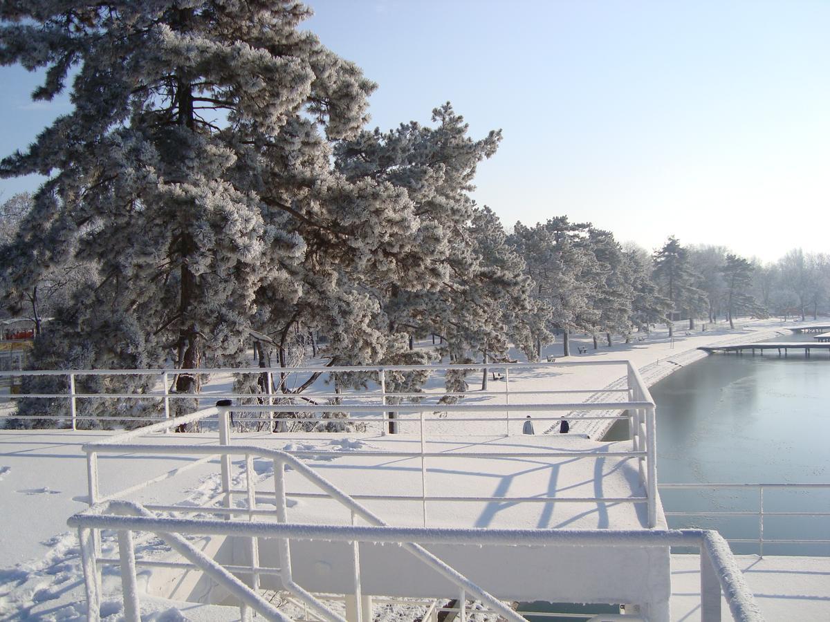 Vila Madams - Palic-Serbia Exteriér fotografie