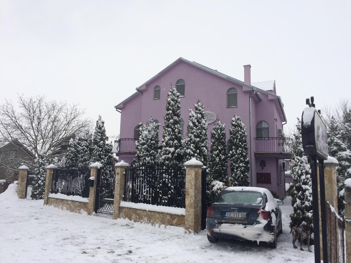 Vila Madams - Palic-Serbia Exteriér fotografie